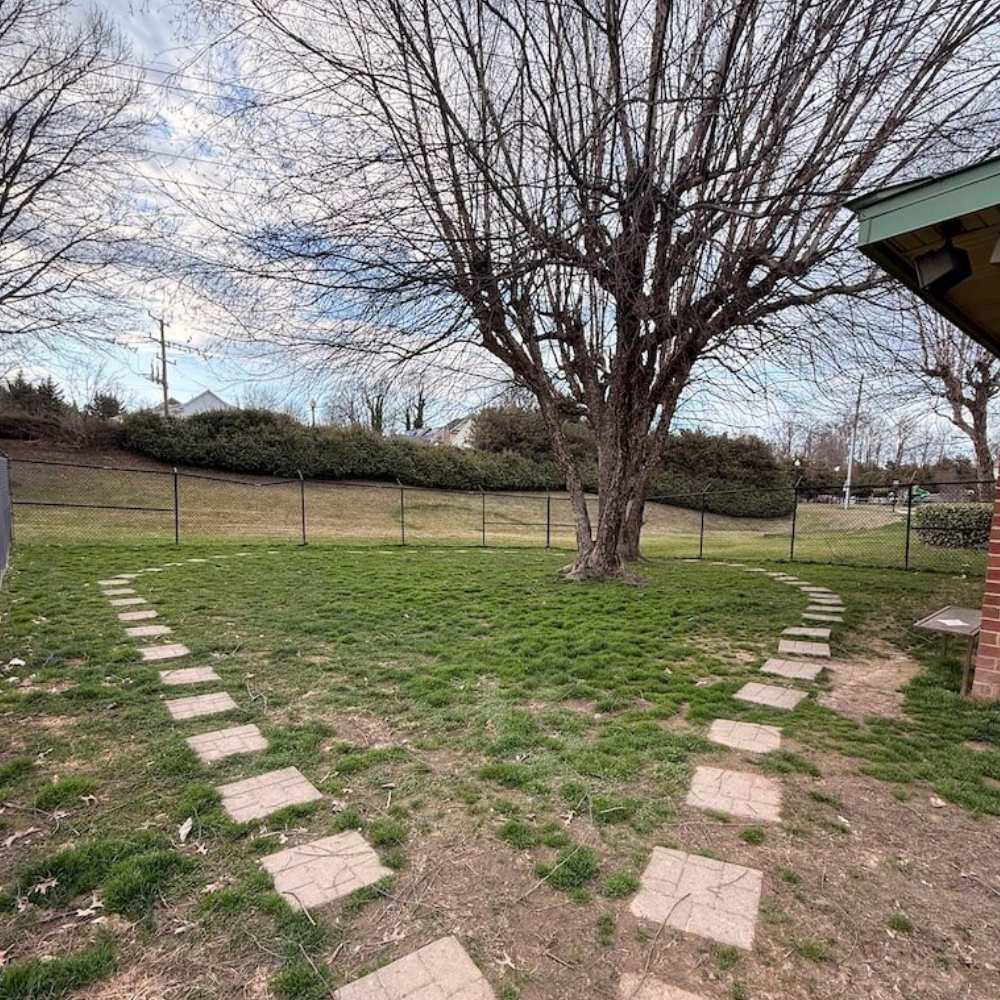stone path curves through a grassy yard, leading to a tree at Crosspointe Animal Hospital